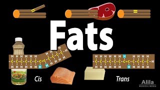 Unsaturated vs Saturated vs Trans Fats Animation [upl. by Lise319]