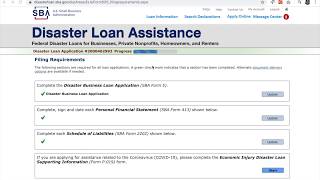 Quick Guide SBA Disaster Loan Application  specific to Coronavirus Covid19 [upl. by Jar]