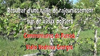 Taille des arbres fruitiers  Vos arbres retrouvent leur jeunesse [upl. by Enidlareg]