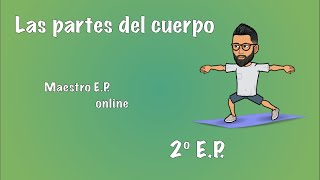 Las PARTES del CUERPO  Para NIÑOS de SEGUNDO de PRIMARIA  2º EP  CCNN 11 [upl. by Oigolue]