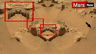 NASAs Mars Rover Released Latest Remarkable 180° Shocking Images of Mars Life Perseverance update [upl. by Adnawad857]