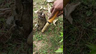 Best pinpointer metal detector shorts short youtubeshorts shortvideo metaldetecting treasure [upl. by Cordie275]