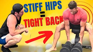 Fix Low Back Pain amp Hip Mobility in 3 Days  Knees Over Toes Guy Shows 2 Exercises [upl. by Henigman]