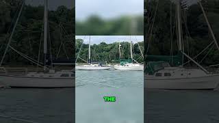 Scary Boat Collision MustSee Footage [upl. by Alaine]