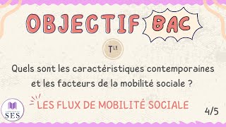 BAC Cours Mobilité Sociale  Analyse des flux de mobilité sociale [upl. by Berget]