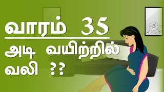 The Pregnancy  week by week  Tamil  Week 35 [upl. by Katrina]