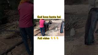 Gud kese banta village villagelife farming funny viral comedy short subscribe [upl. by Nlyak623]