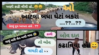 કાળી માથું મારી લેત 😰vlog trending viralvideo trendingvideo gujarat desi explore bhargavvlog [upl. by Kcinimod555]