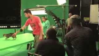 Making of the Feliway Advert behind the scenes and interviews [upl. by Sardse829]