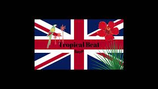 Bay P  Tropical Beat [upl. by Idnim]