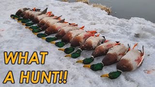 The BEST Mallard Hunt of My Life  Public Land Duck Hunting 2019 [upl. by Yessac]