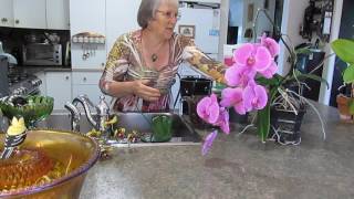 jacolyns orchids 5 repotting and watering [upl. by Janiuszck562]