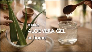 2 ways to make pure organic aloe vera gel at home and preserve for months [upl. by Ymma815]