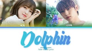 Arin amp Soobin 오마이걸의 아린 TXT 수빈  Dolphin Lyrics HanRomEngColor CodedLyrics가사  bingsoosh [upl. by Gnous]