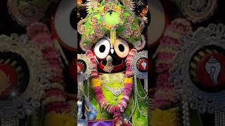 Alo mitani  jagannath bhajan 🙏🙏🙏🙏🙏🙏🙏🙏 [upl. by Suravat]