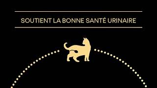 PURINA® PROPLAN® Cat Sterilised [upl. by Ennaear]