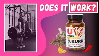 Zuburn Review and Test  Is it Worth the 50 [upl. by Packton977]