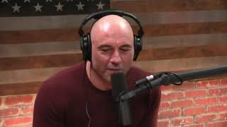 What David Goggins thinks about Jocko Willink [upl. by Elleuqar]