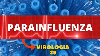 PARAINFLUENZA  VIROLOGIA  AULA 25 [upl. by Pena572]