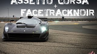 Assetto Corsa amp FaceTrackNoIR 1080p [upl. by Carolus]