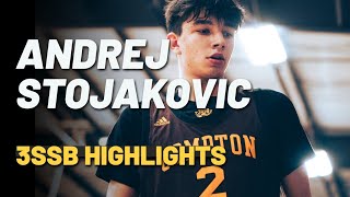 Stanford Cardinal Commit Andrej Stojakovic 2022 Adidas 3SSB Highlights [upl. by Enitsed501]