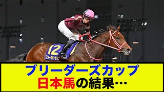 【BC2024】「ブリーダーズカップ日本馬の結果…」に対する反応【競馬】【反応集】【BCクラシック】【BCターフ】【BCマイル】競馬 競馬予想 BC2024 ブリーダーズカップ2024 [upl. by Enilhtak907]