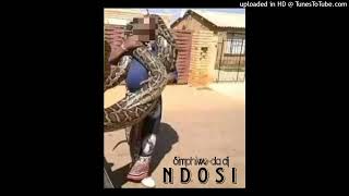 Simphiweda dj  Ndosi [upl. by Gauldin]