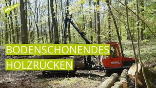 Bodenschonendes Holzrücken in Knechtsteden [upl. by Lindblad33]