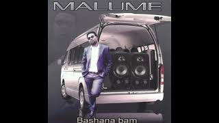 Bashana Bami  Bootleg Remix    Ft Ben Produces  Malume  Simmytainment [upl. by Amitaf]