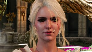 Ciri meets Emhyr  Witcher 3 [upl. by Yseult]