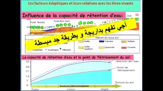 influence des facteurs édaphiques sur la répartition des végétaux le point flétrissementبالداريجة [upl. by Mattland20]