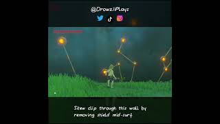 Skip Trial of the Sword Beginner Trial  BOTW Glitch shorts [upl. by Tigdirb443]