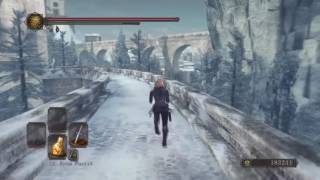 Dark Souls 2 SotFS  All Eleum Loyce Knight Locations [upl. by Chick]