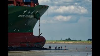 Genscape Vesseltracker  Refloating of Ultra Large Container vessel  CSCL Jupiter [upl. by Marshal]