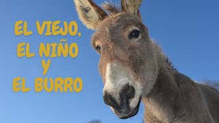 El viejo el niño y el burro reflexion frasesdelavidaparareflexionarypensar frasesdelavida [upl. by Arutnev783]