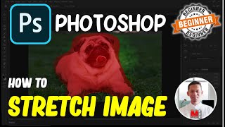 Photoshop How To Stretch Image [upl. by Ecad55]