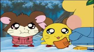 Hamtaro Episodio 183 El Festival de Invierno de Marron TRAILER [upl. by Annavoeg]