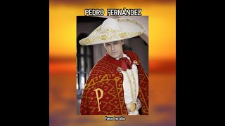 PEDRO FERNANDEZ  FUERON TRES AÑOS LETRA [upl. by Shlomo]