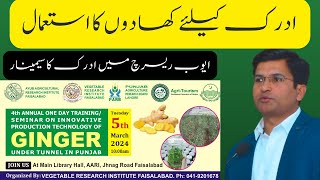 Ginger Fertilizers Application  Adrak men khadon Ka istemal Ginger PakistanVRIAARI Pakistan [upl. by Ddahc]