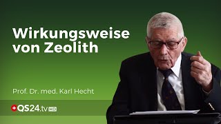 Zeolith im Körper Wirkungsweise nach der Einnahme  Prof em Prof Dr med Karl Hecht  QS24 [upl. by Lubbi610]