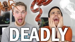 The Top 5 Deadliest Animals In The World [upl. by Deron467]