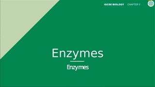 Enzymes  IGCSE Biology  Topic Explainer  ZNotes [upl. by Lexa]