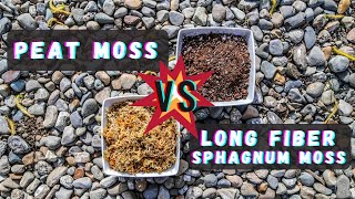 Peat Moss Vs Sphagnum Moss Best Venus Flytrap Soil Mix Substrate  What Is The Difference [upl. by Lemrac]