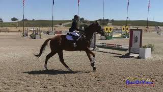 231S Mia Budelli on Armani Starter Show Jumping Twin Rivers Ranch Sept 2024 [upl. by Eniamraj]