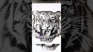 CÓMO HACER EL STENCIL PARA TATUAR TIGRES REALISTAS [upl. by Cooperstein]