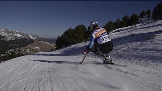 How to Paraalpine skiing  sitting category [upl. by Nelubez]