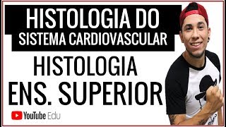 Aula Histologia do Sistema Cardiovascular │Aula de Biologia [upl. by Cathey]