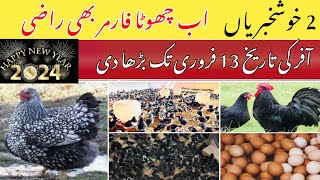 Australorp Business In Pakistan [upl. by Sillyrama]