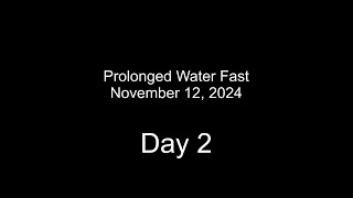 Nov 2024 Water Fast Day 2 [upl. by Annoyek]