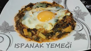 ISPANAK YEMEĞİ TARİFİ  Ispanak Yemekleri Nasıl Yapılır  Miss Chef [upl. by Keyte]